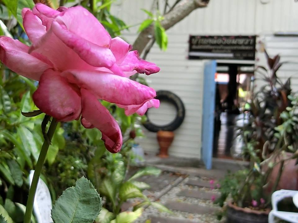 Baanklong Amphawa Homestay Dış mekan fotoğraf